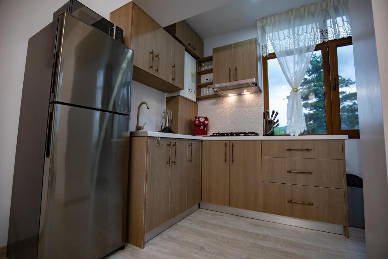 Tîrgu Ocna Apartament Natalia מראה חיצוני תמונה