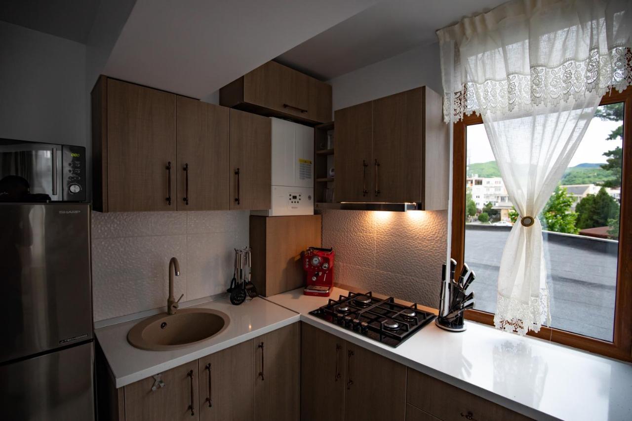 Tîrgu Ocna Apartament Natalia מראה חיצוני תמונה